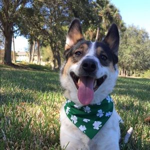 Meet your Posher, Sierra